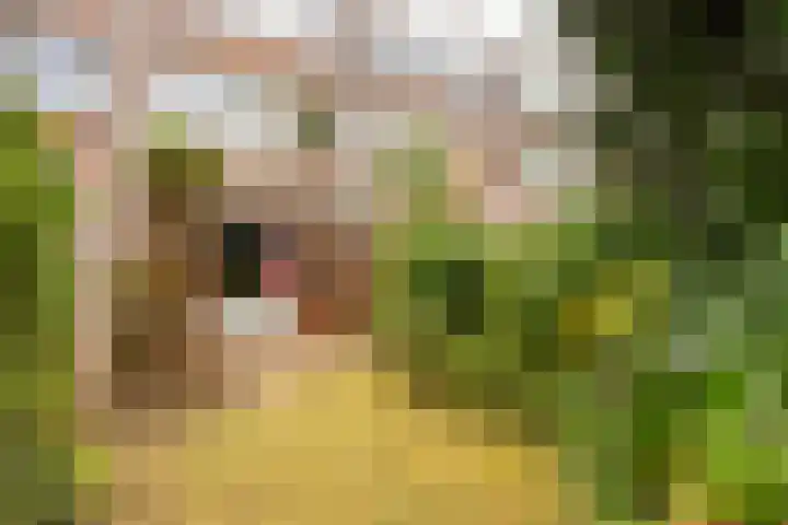 Wielewaal 24 Nieuwegein thumbnail 15