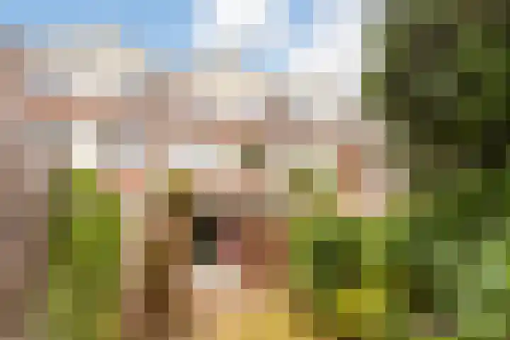 Wielewaal 24 Nieuwegein thumbnail 16