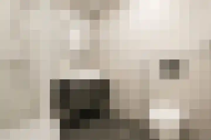 Wielewaal 24 Nieuwegein thumbnail 30