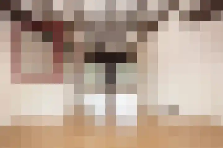 Wielewaal 24 Nieuwegein thumbnail 33