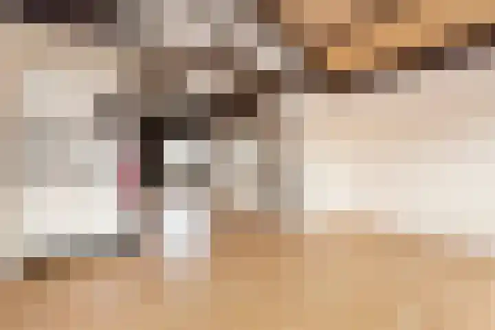 Wielewaal 24 Nieuwegein thumbnail 37