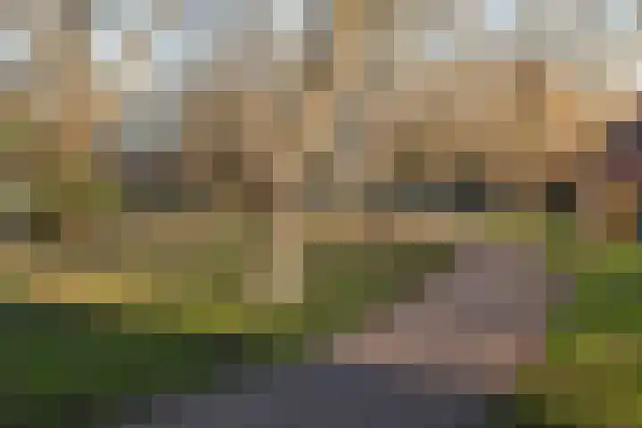 Wielewaal 24 Nieuwegein thumbnail 45