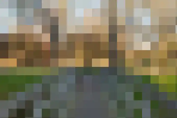 Wielewaal 24 Nieuwegein thumbnail 46