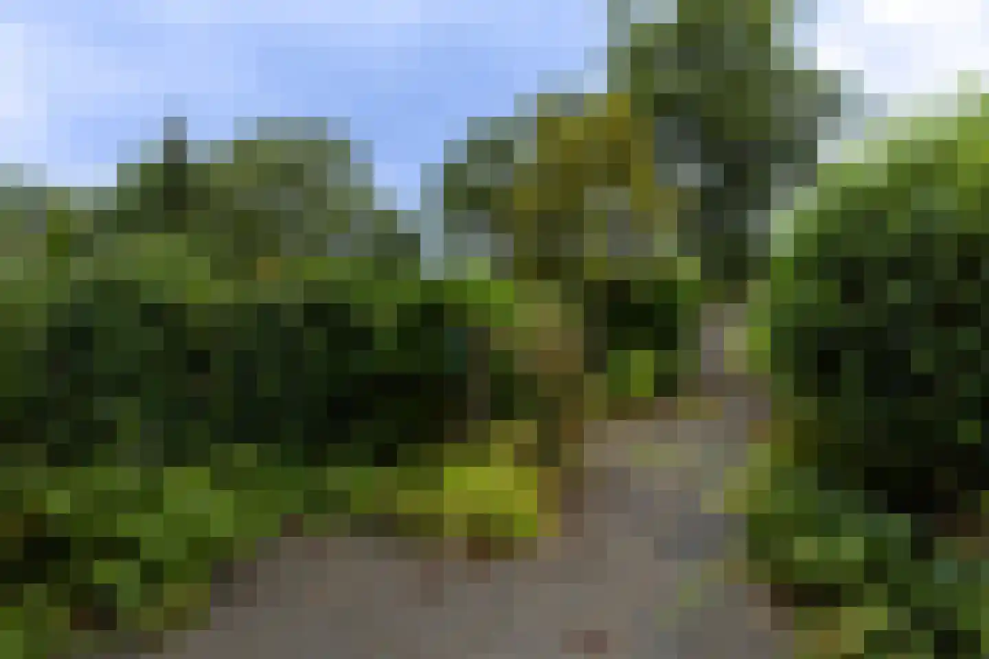 Wielewaal 25 Soest thumbnail 30