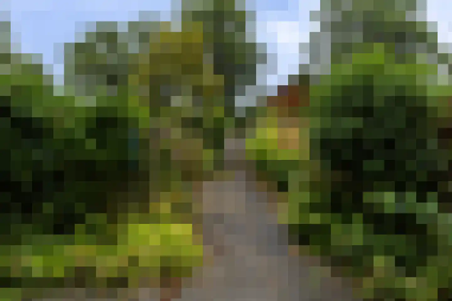 Wielewaal 25 Soest thumbnail 31
