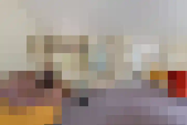 Wielewaal 28 Castricum thumbnail 17