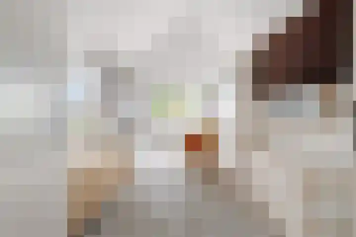 Wielewaal 28 Castricum thumbnail 22