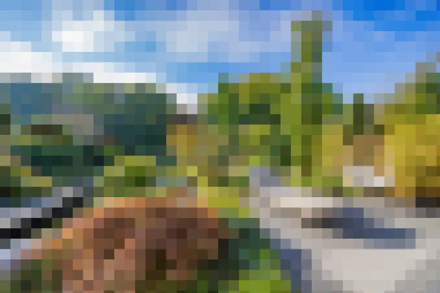 Wielewaal 28 Castricum thumbnail 24