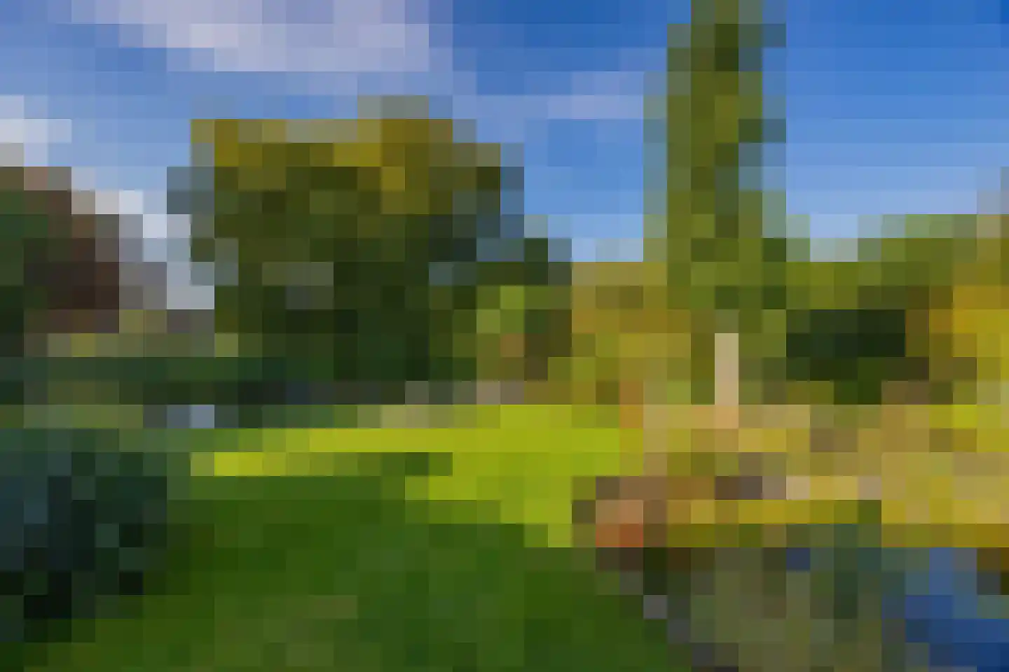 Wielewaal 28 Castricum thumbnail 32