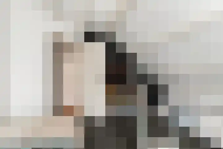 Wielewaal 28 Castricum thumbnail 36