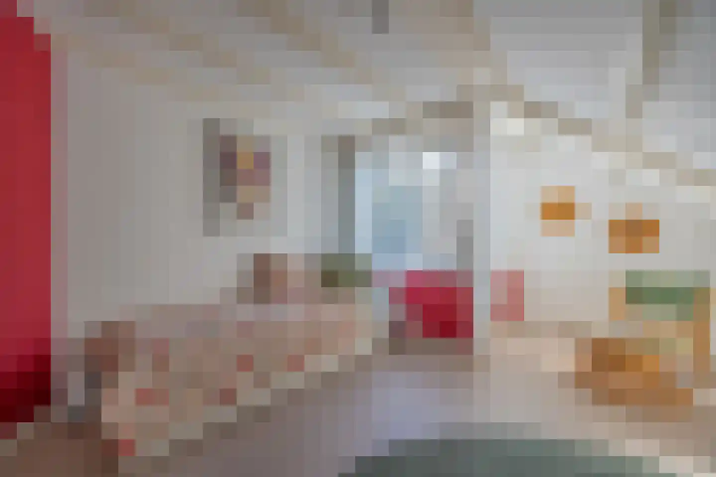 Wielewaal 28 Castricum thumbnail 39