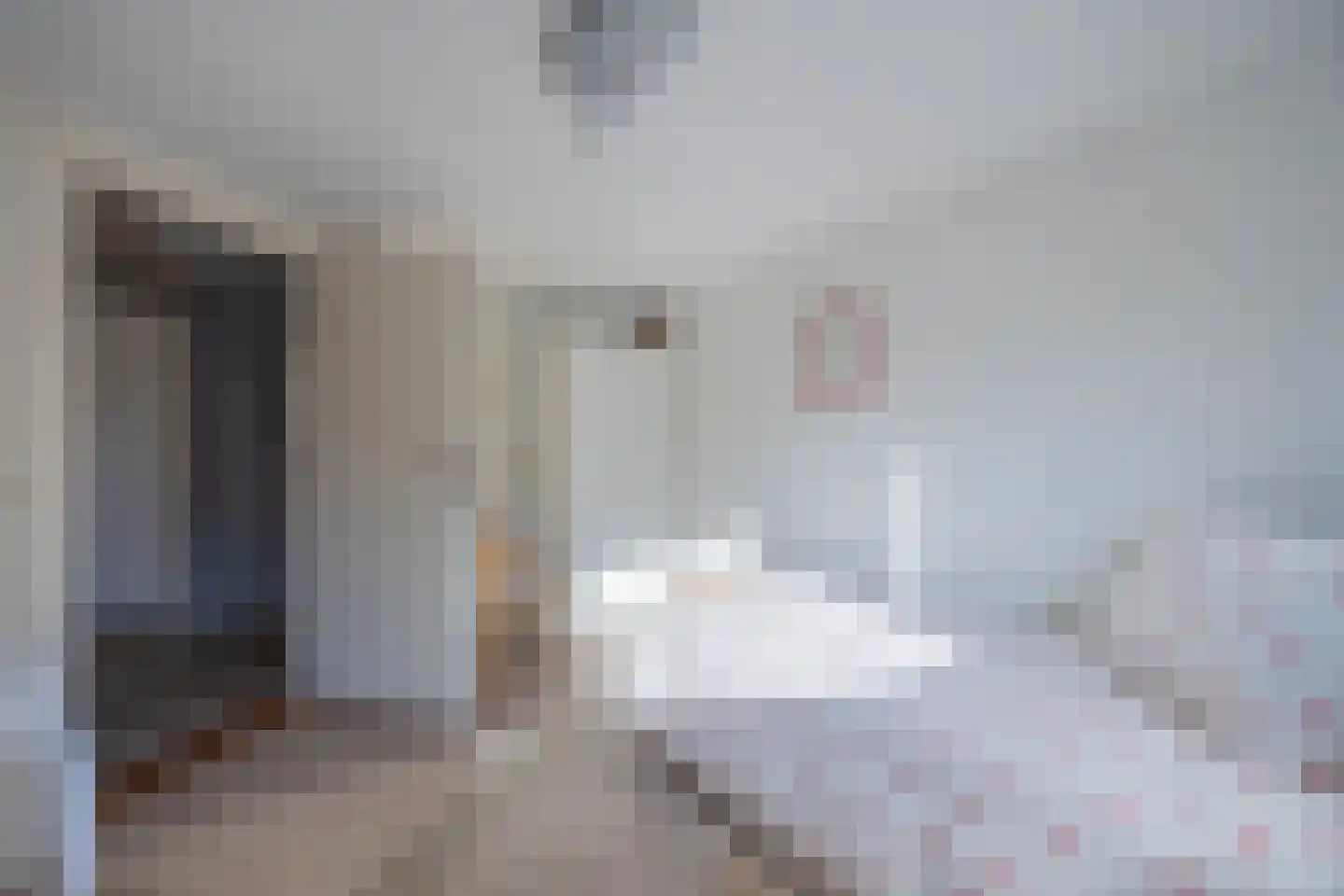 Wielewaal 28 Castricum thumbnail 45