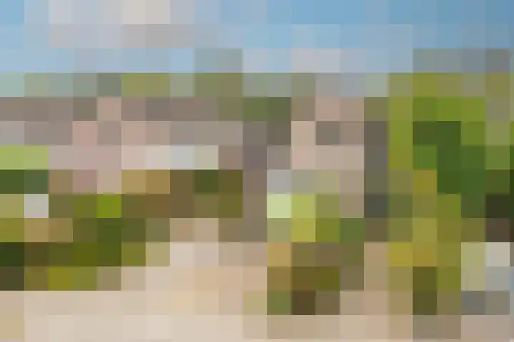 Wielewaal 28 Castricum thumbnail 5