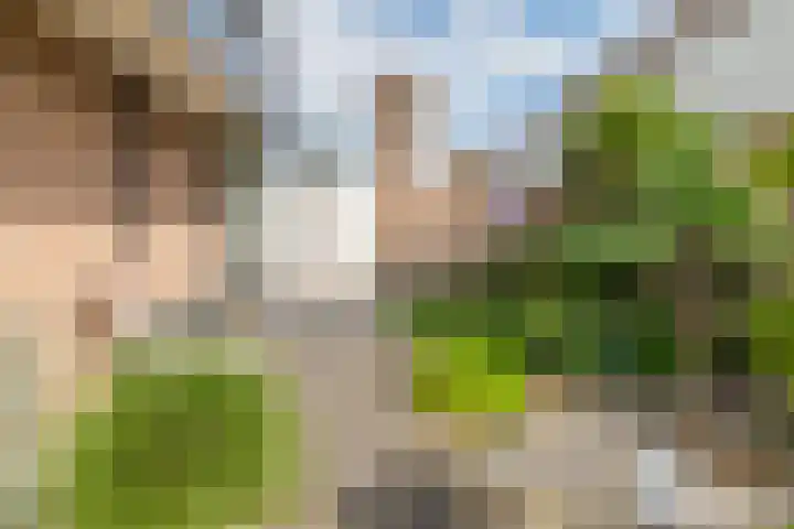 Wielewaal 28 Castricum thumbnail 52