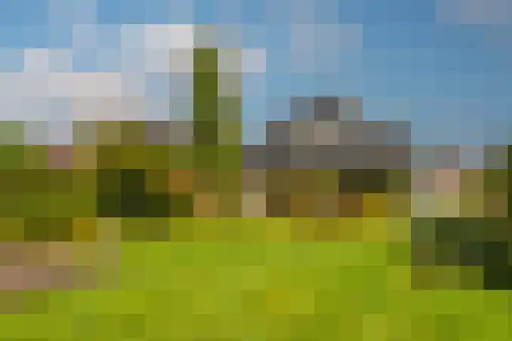 Wielewaal 28 Castricum thumbnail 57