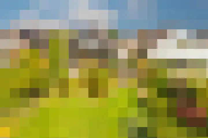 Wielewaal 28 Castricum thumbnail 58