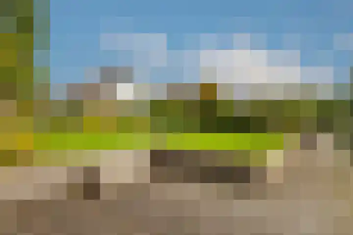 Wielewaal 28 Castricum thumbnail 59