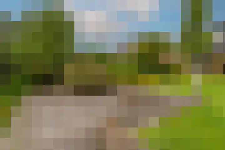 Wielewaal 28 Castricum thumbnail 60