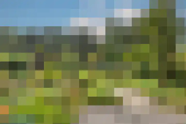 Wielewaal 28 Castricum thumbnail 61