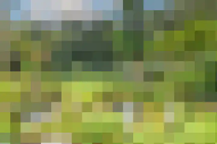 Wielewaal 28 Castricum thumbnail 62
