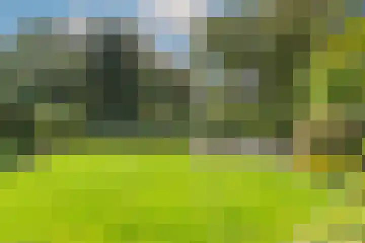 Wielewaal 28 Castricum thumbnail 64