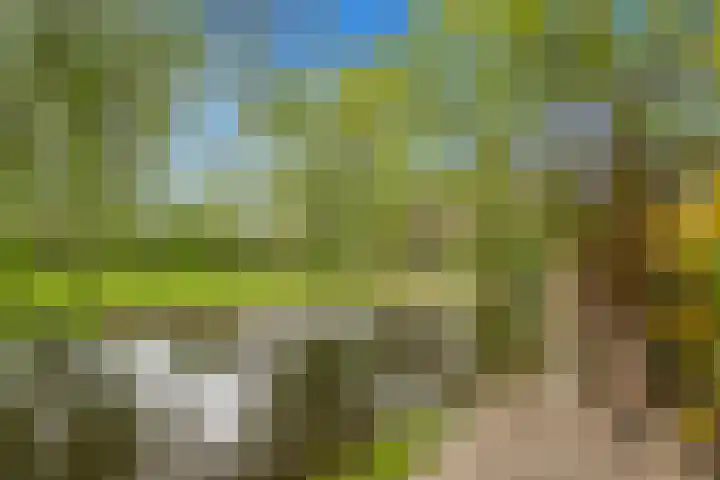 Wielewaal 28 Castricum thumbnail 67