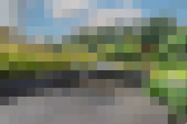Wielewaal 28 Castricum thumbnail 69