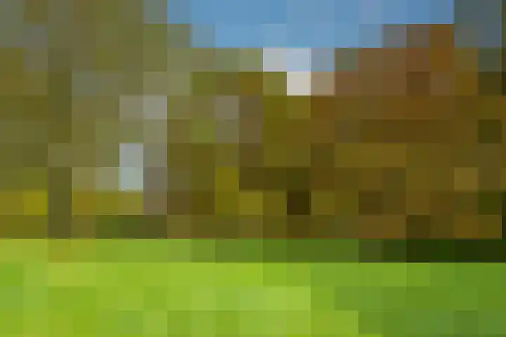 Wielewaal 28 Castricum thumbnail 72