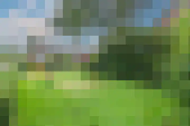 Wielewaal 28 Castricum thumbnail 73