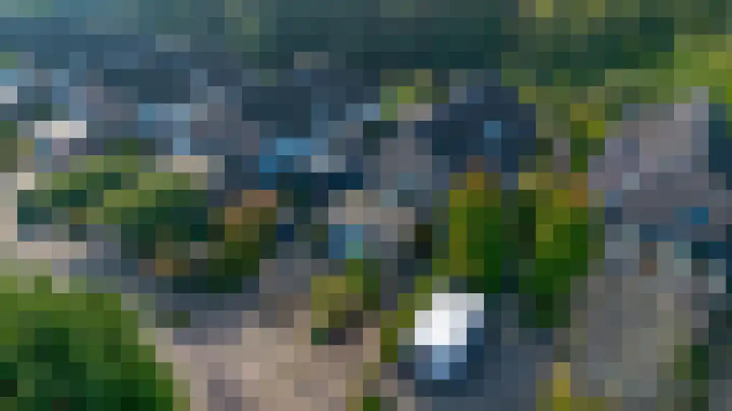 Wielewaal 28 Castricum thumbnail 74