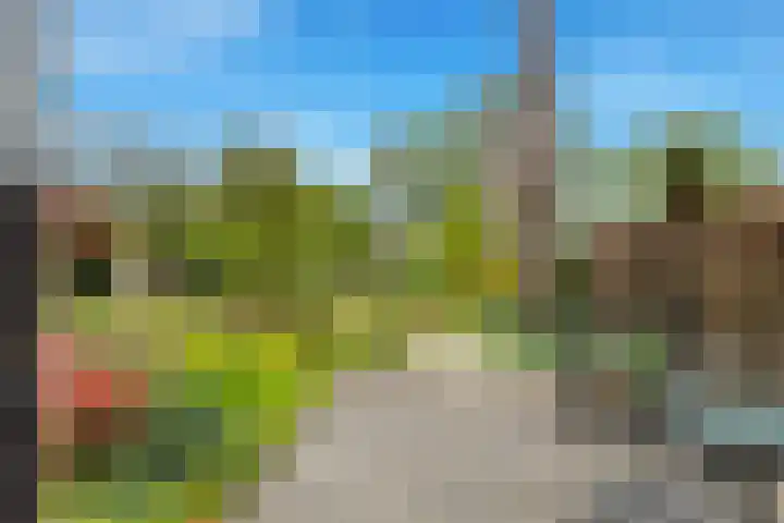 Wielewaal 28 Castricum thumbnail 75