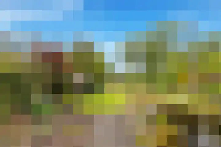 Wielewaal 28 Castricum thumbnail 78
