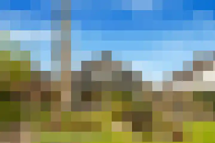 Wielewaal 28 Castricum thumbnail 83