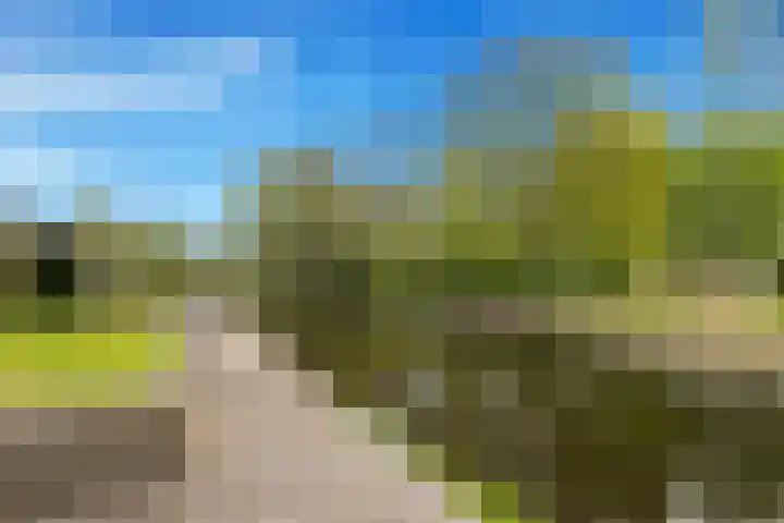 Wielewaal 28 Castricum thumbnail 86
