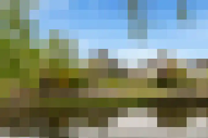 Wielewaal 28 Castricum thumbnail 90