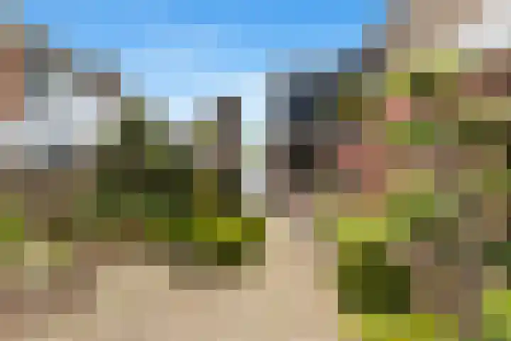 Wielewaal 28 Castricum thumbnail 91