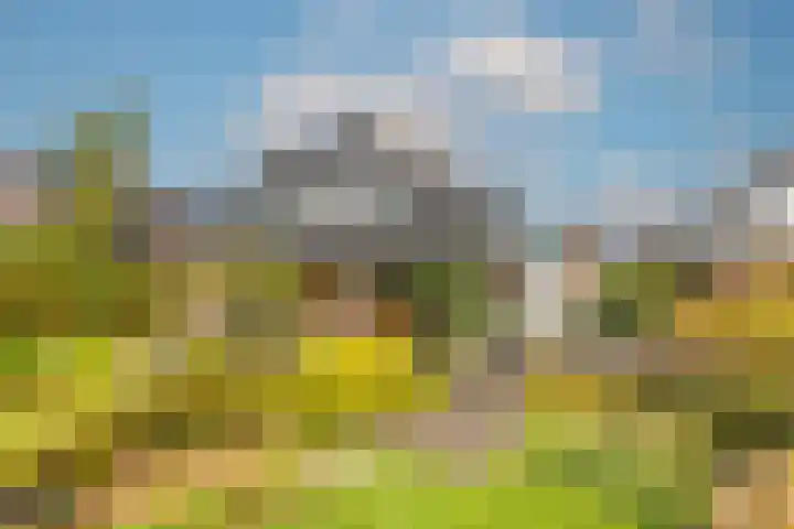 Wielewaal 28 Castricum thumbnail 97