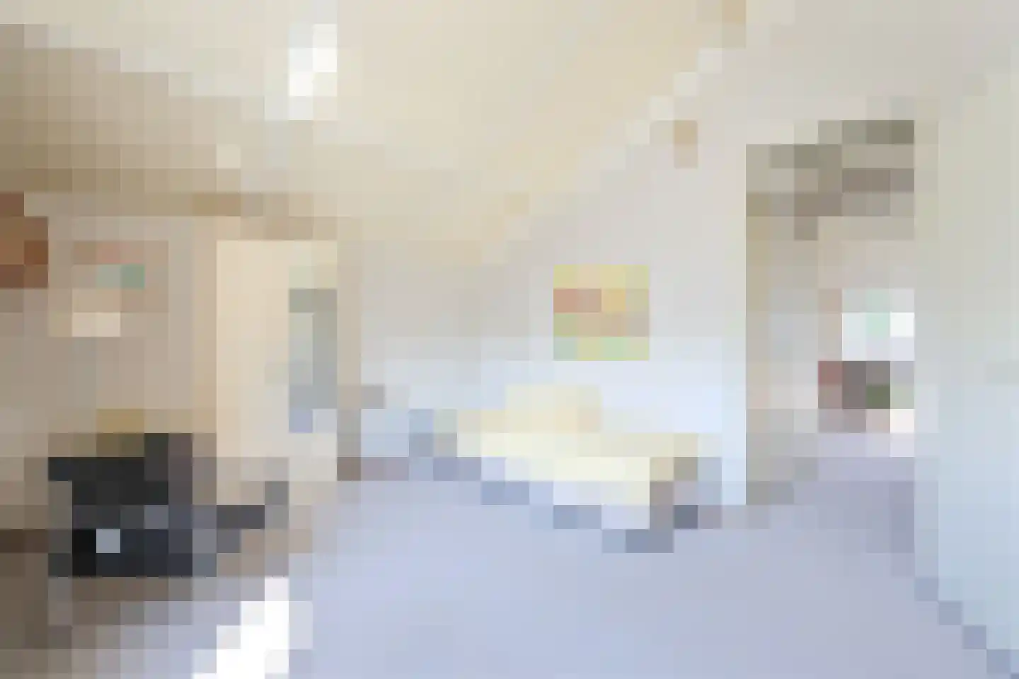 Wielewaal 38 Heemskerk thumbnail 30