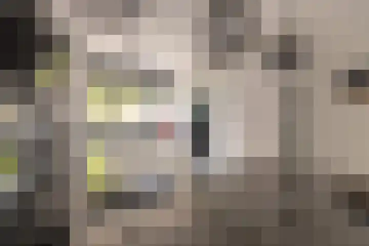 Wielewaal 42 Etten-Leur thumbnail 20