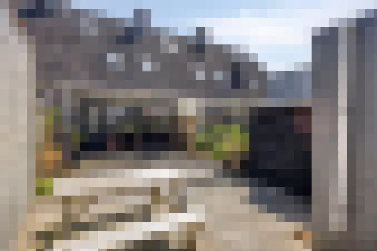 Wielewaal 49 Deventer thumbnail 23