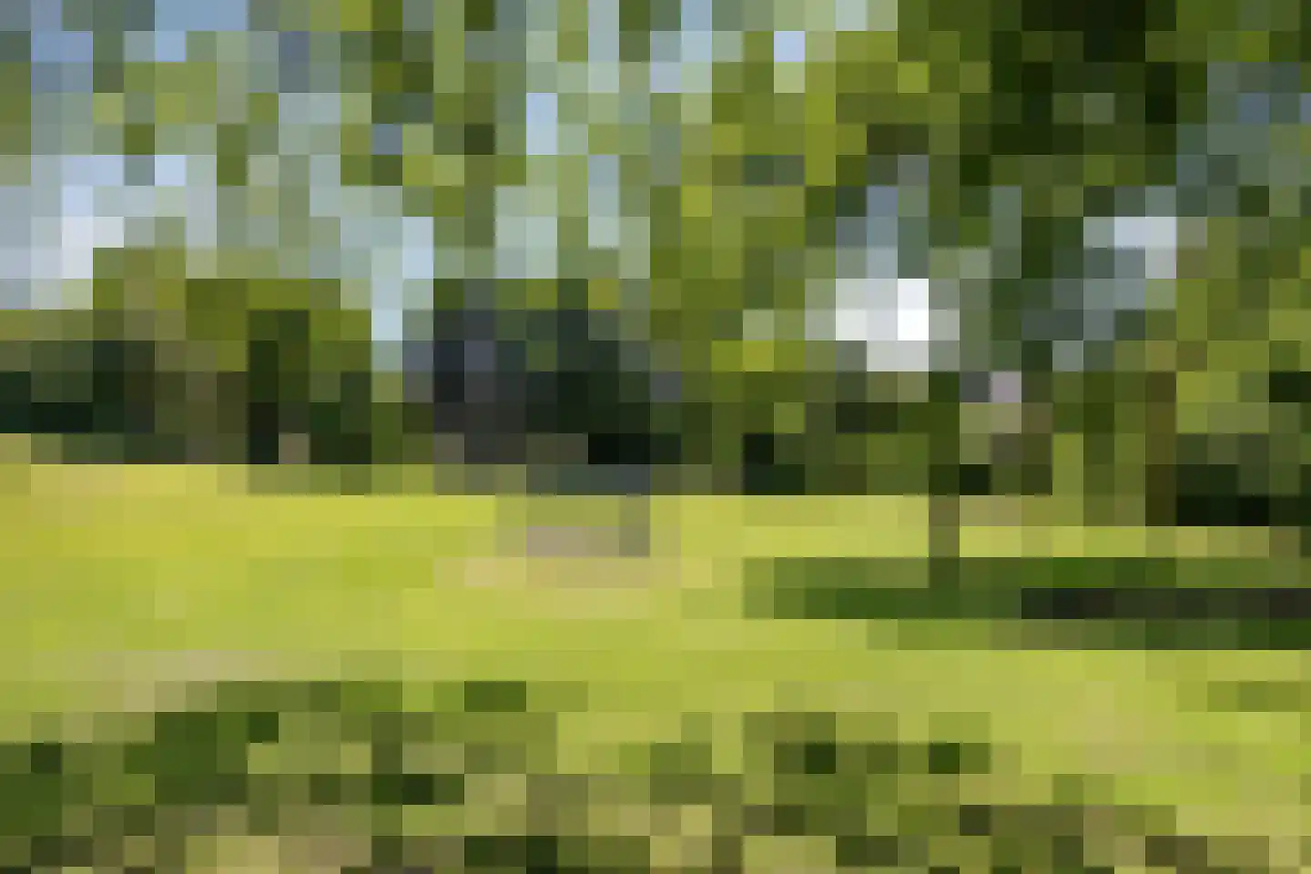 Wielewaal 49 Deventer thumbnail 28