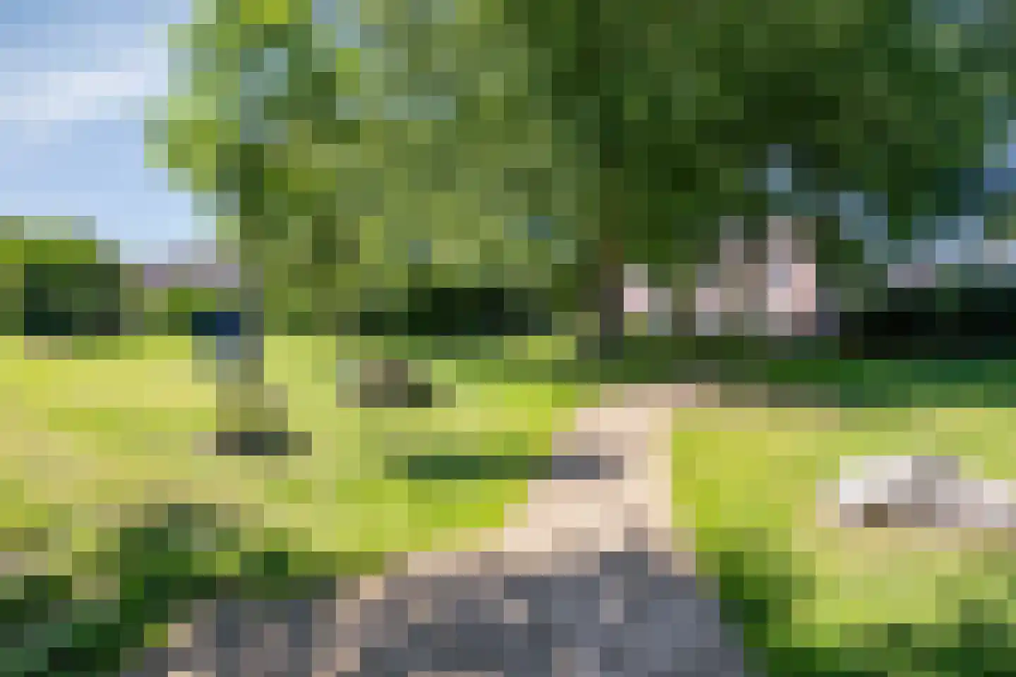 Wielewaal 49 Deventer thumbnail 31
