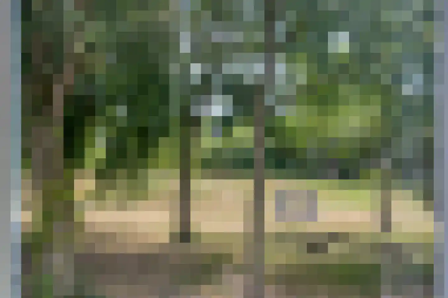 Wielewaal 51 Deventer thumbnail 27