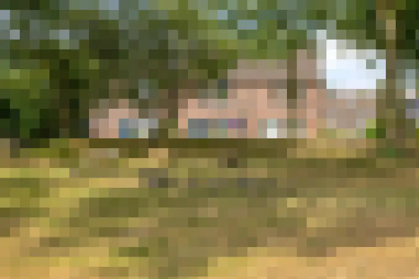 Wielewaal 51 Deventer thumbnail 30