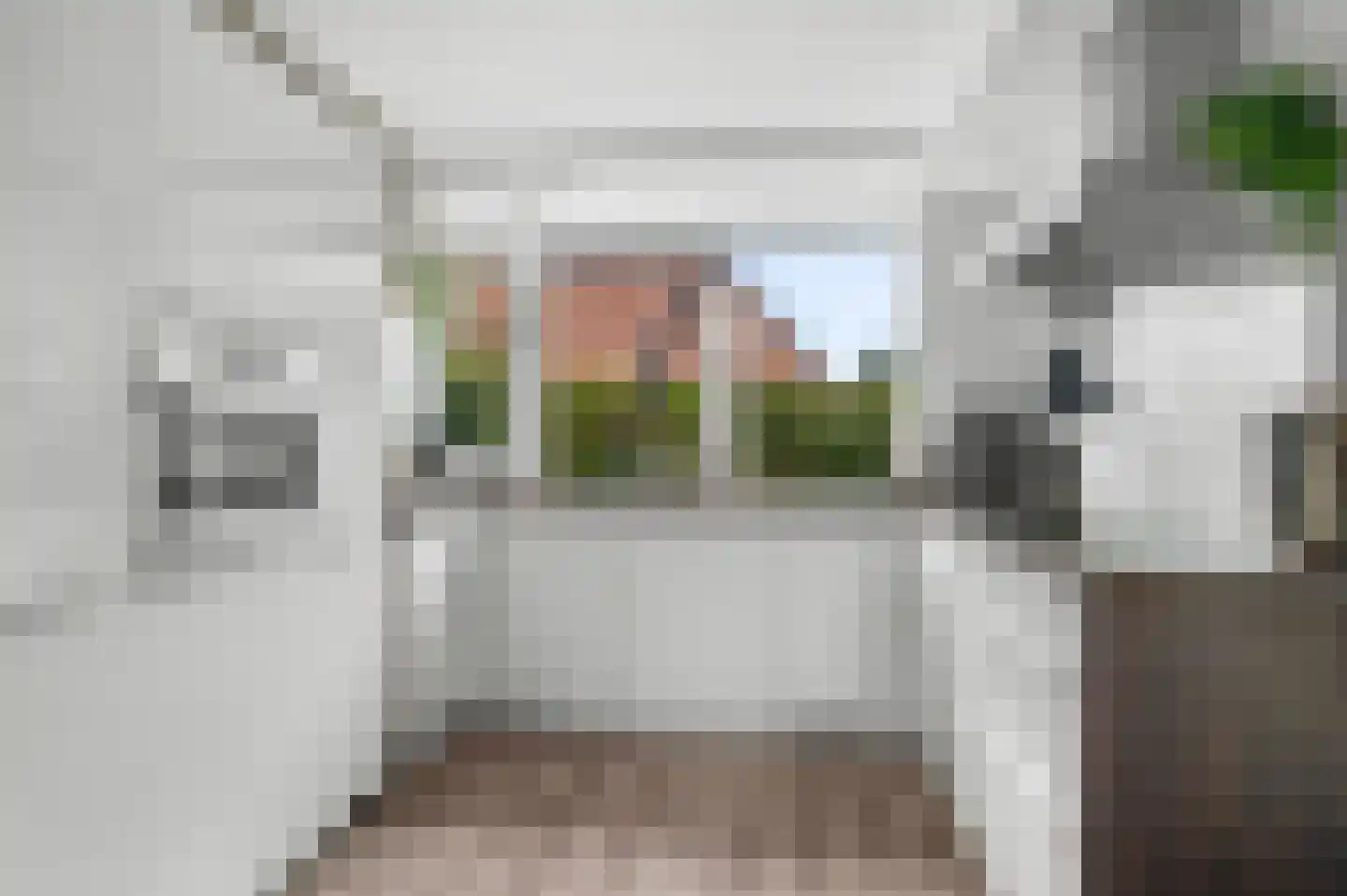Wielewaal 54 Deventer thumbnail 10