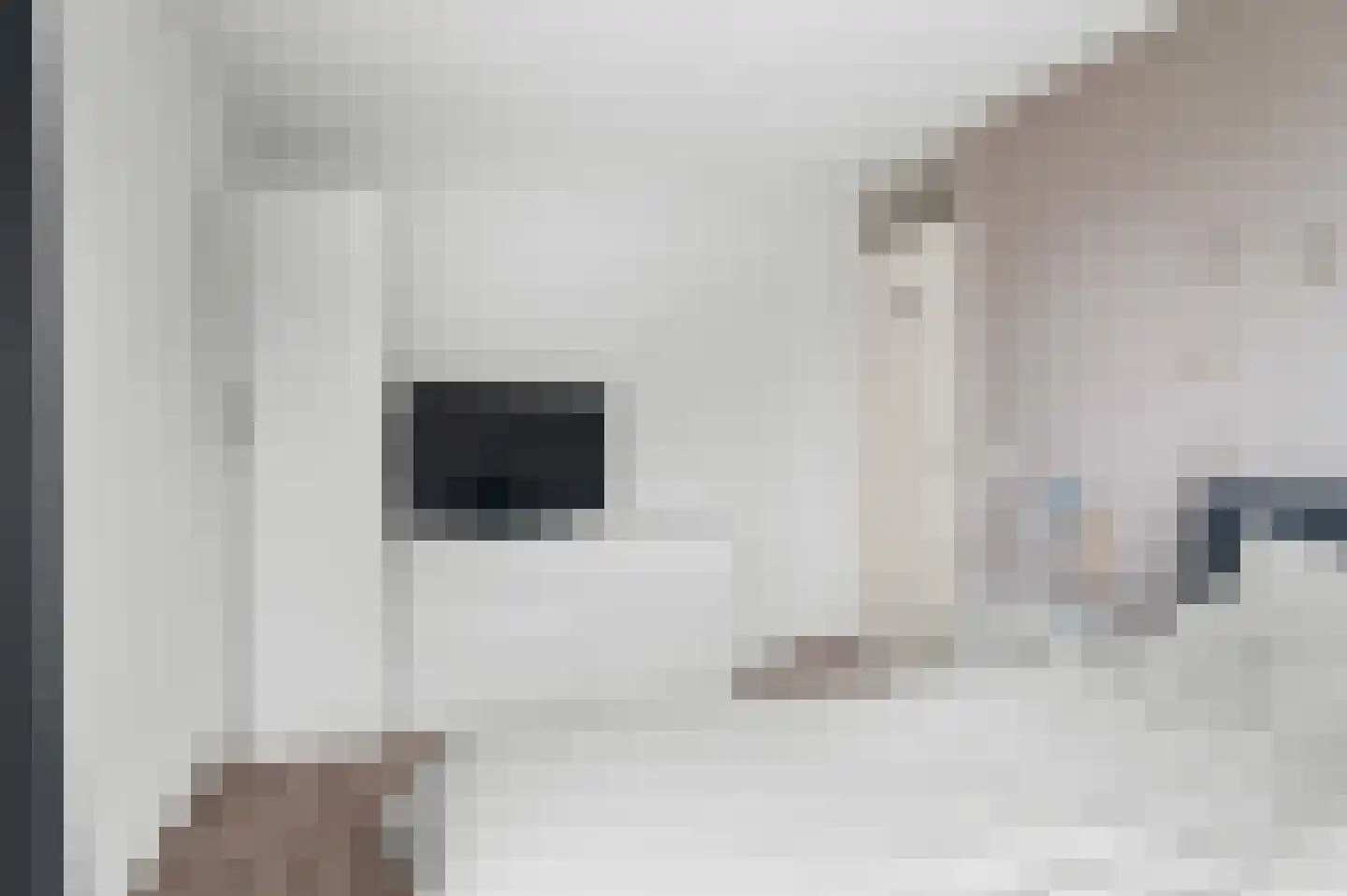 Wielewaal 54 Deventer thumbnail 15