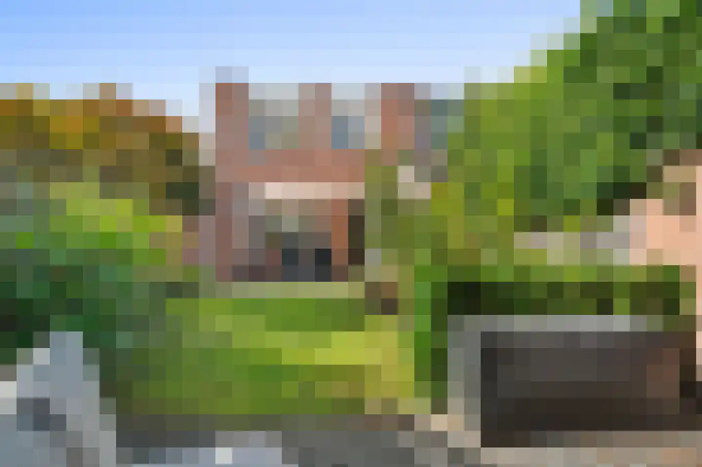 Wielewaal 54 Deventer thumbnail 4
