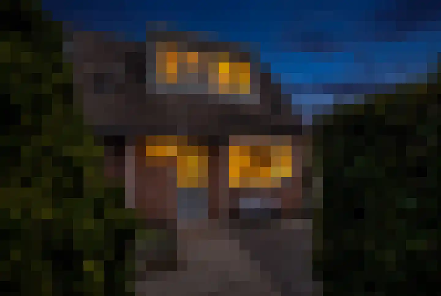 Wielewaal 54 Deventer thumbnail 5