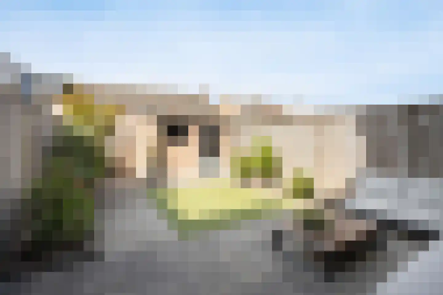 Wielewaal 56 Etten-Leur thumbnail 32