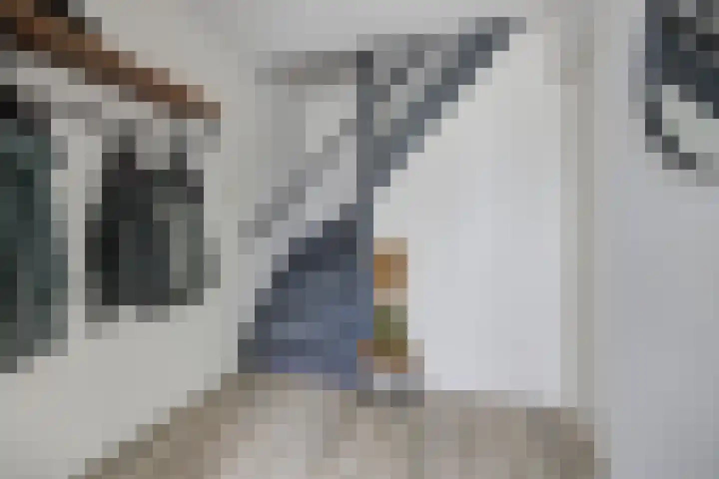 Wielewaal 56 Etten-Leur thumbnail 7